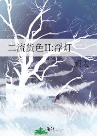 二流货色II:浮灯